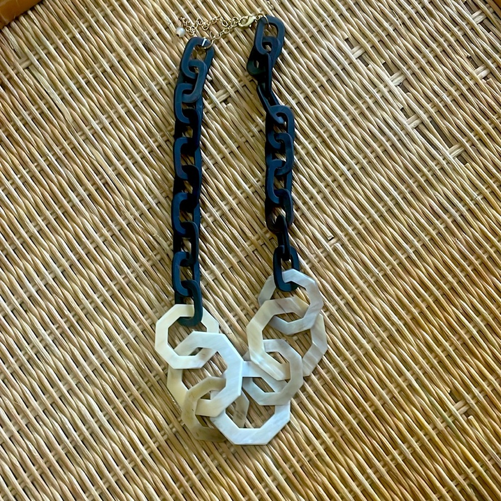 Horn necklace from J. Jill. Never worn.